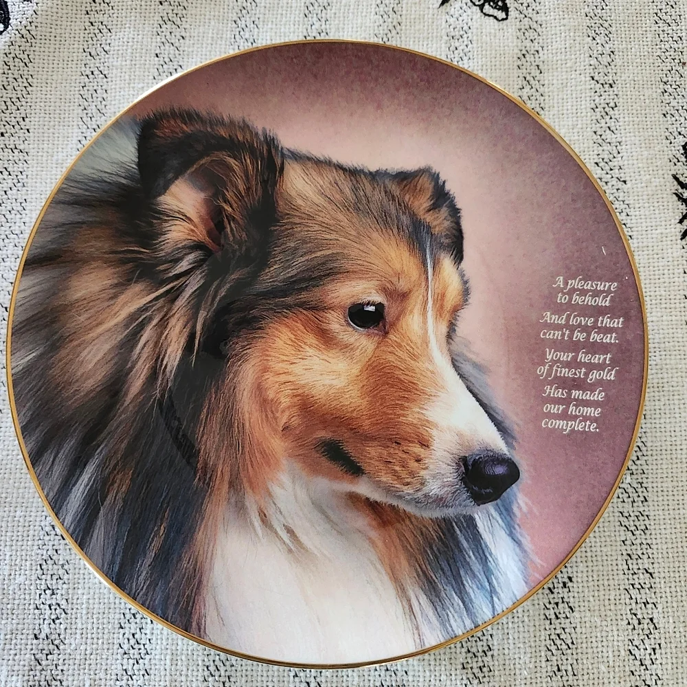 Collectible Shetland Sheepdog Decorative Plates - 3 Piece Set